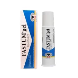 Fastum GEL Dispenser 100gms