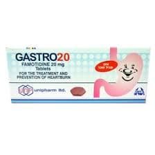 Gastroplus 10’s